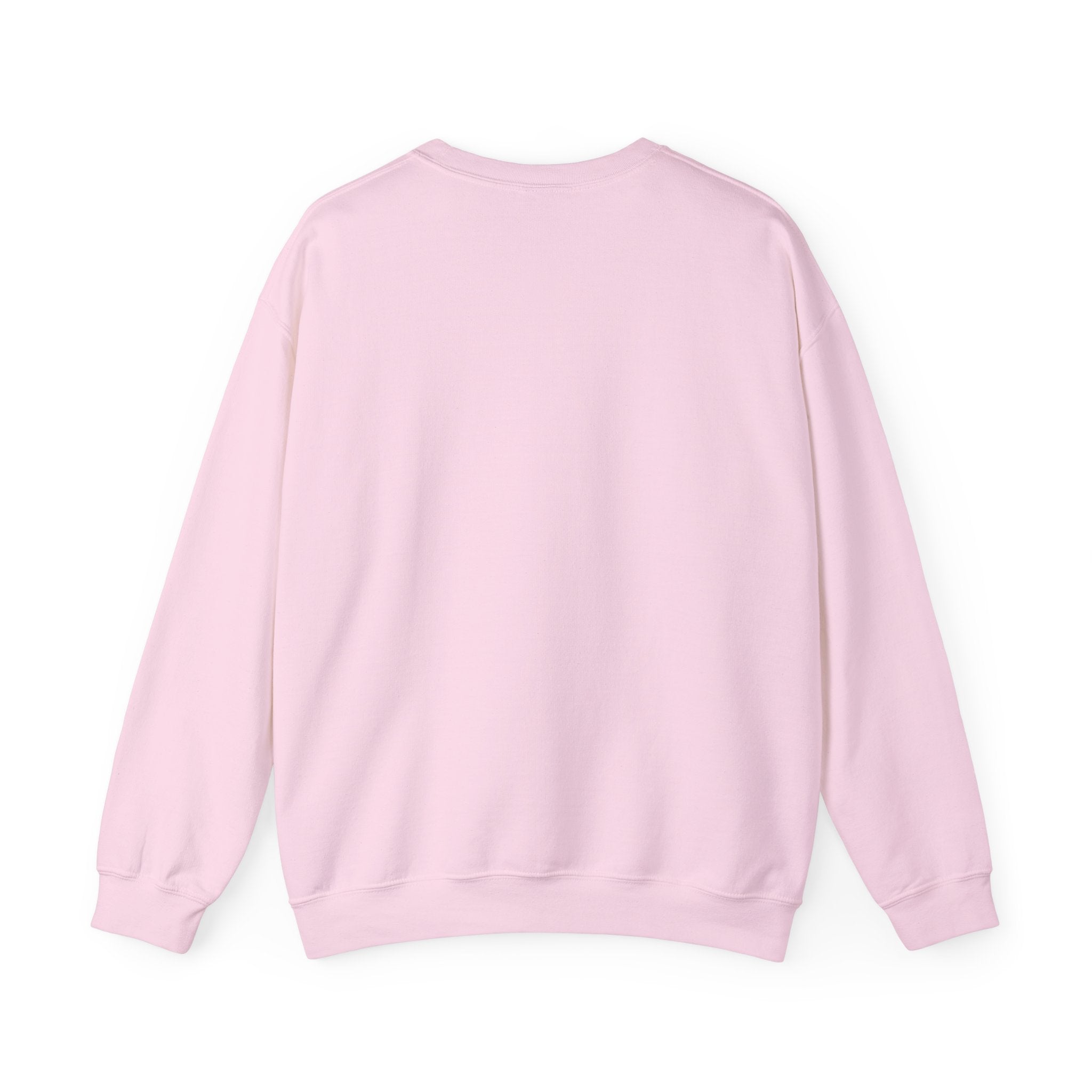 Vani Pink Crewneck Sweater Vanilbean